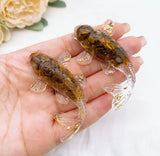 Peces en acrílico con chispas de cuarzos dentro