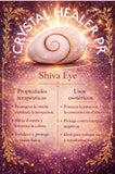 Shiva Eye
