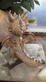 AERYN LUMIS DRAGON -GUARDIANES DEL BOSQUE